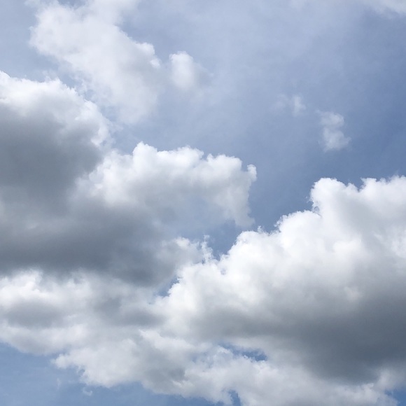 Meet your Posher, Catherine - Picture 1 of 1